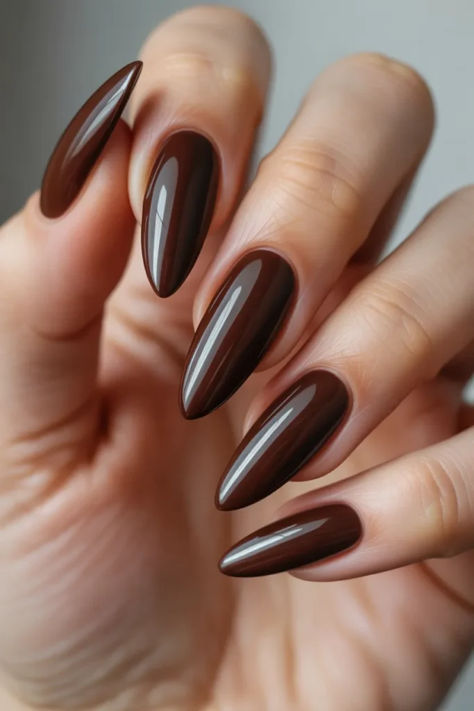 Chocolate Brown Chic