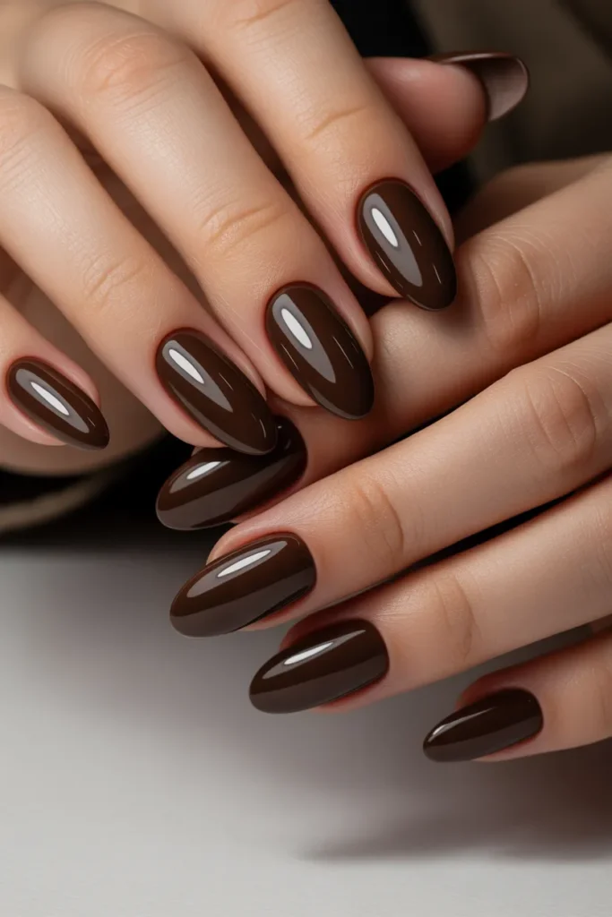 Chocolate Brown Glossy Luxe