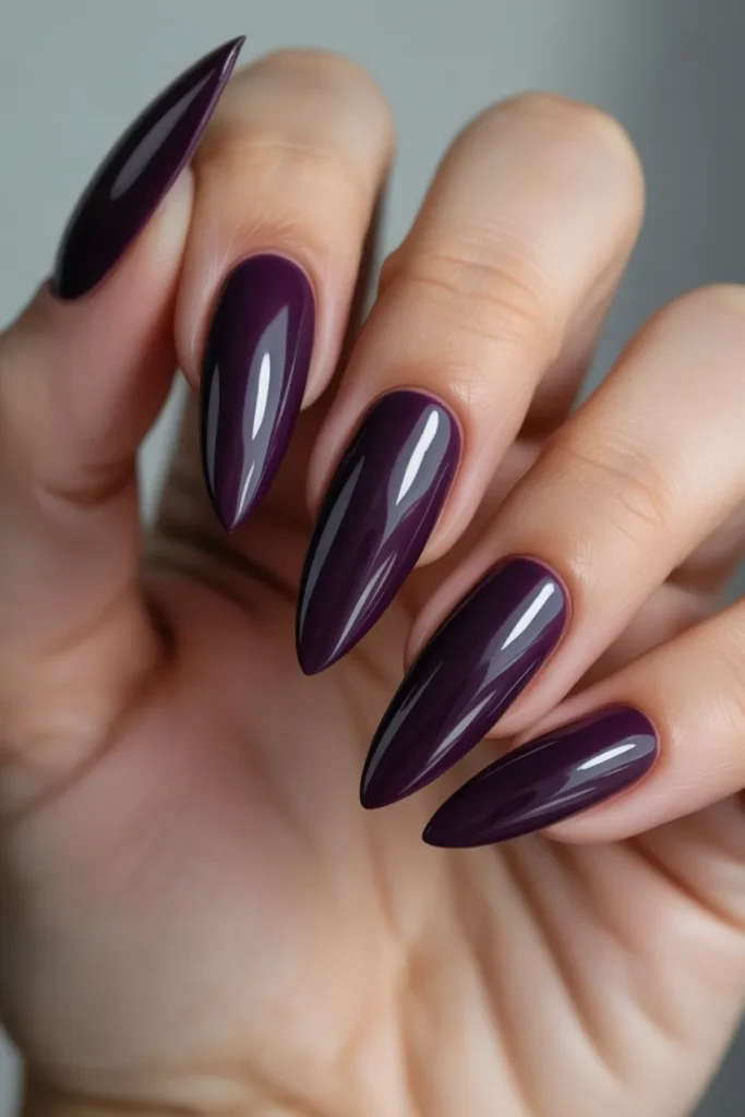 Midnight Plum Elegance